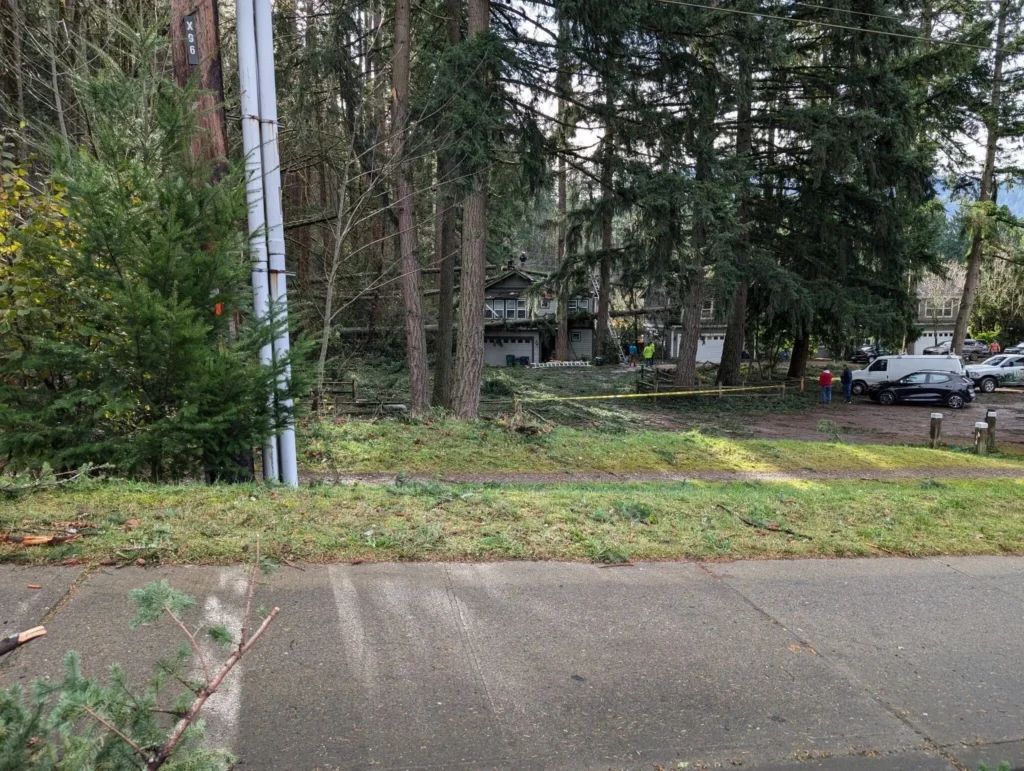 Grass strip with fallen branches and caution tape after a storm