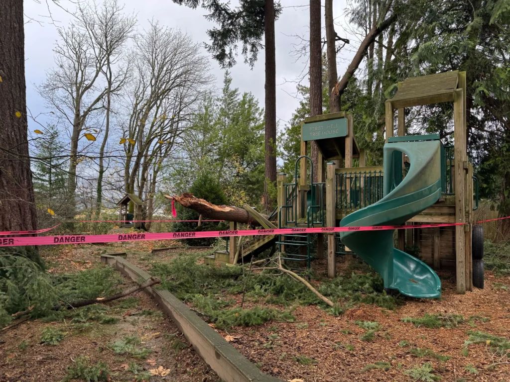 Playground with a fallen tree and danger tape around it