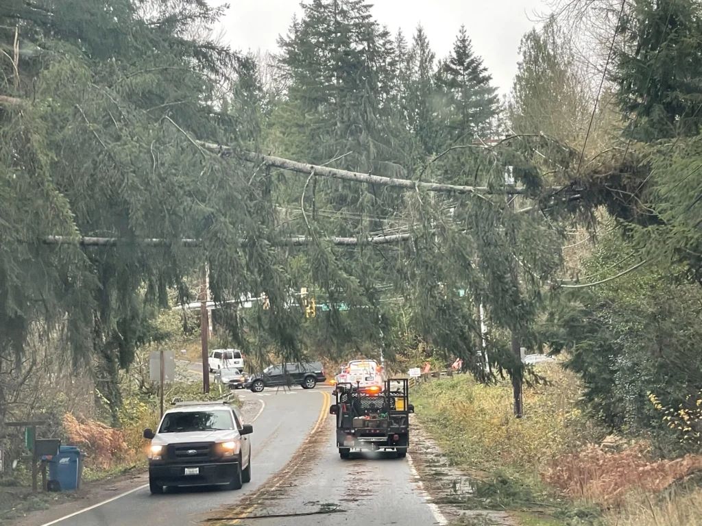 Large tree fallen across a road and power lines with a utility truck approaching