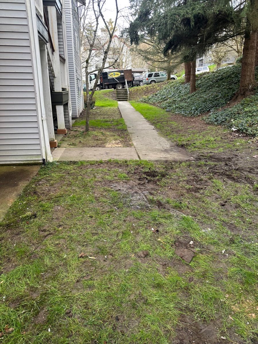 Yard waste and brush removal in Maple Valley WA by Junk B Gone