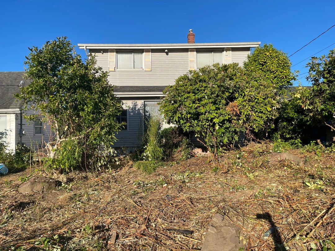 The house visible again from the yard after Junk B Gone cleared the overgrowth and debris