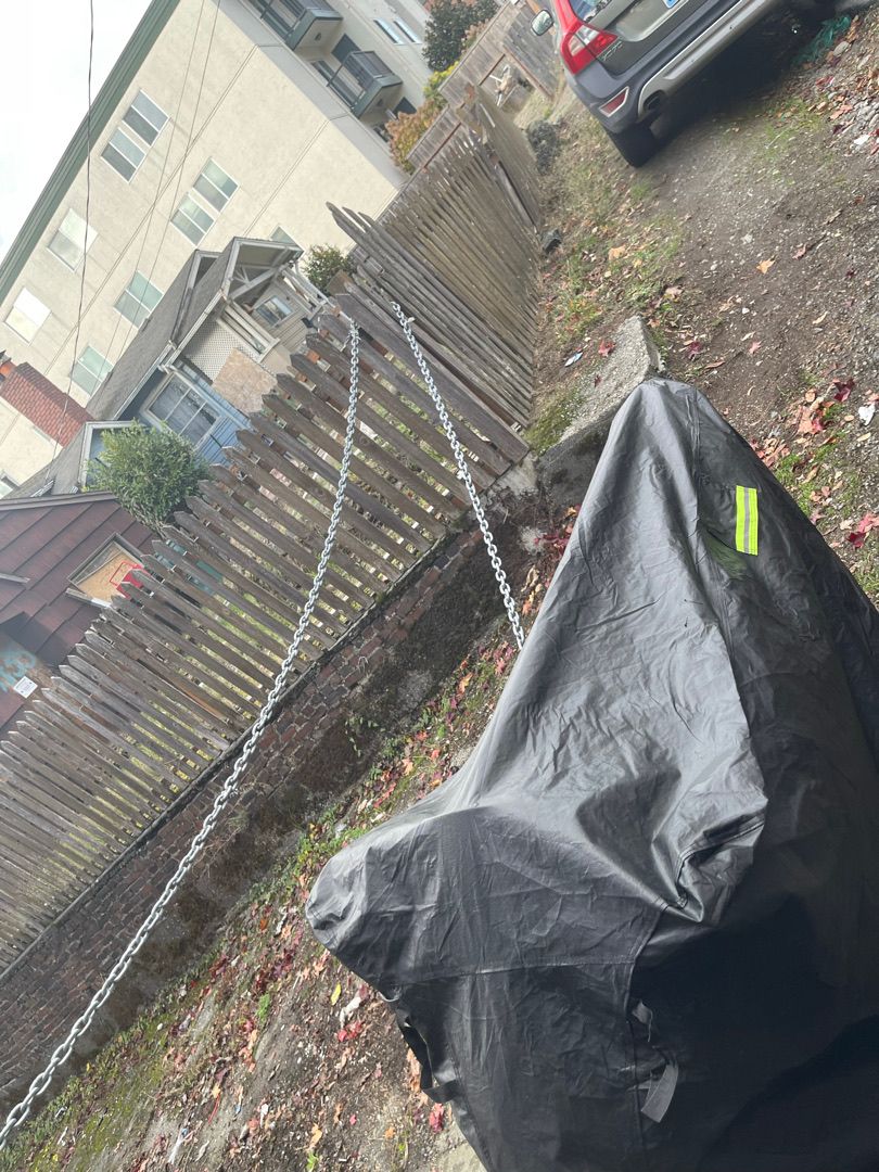 Items left in a Seattle yard before yard waste removal