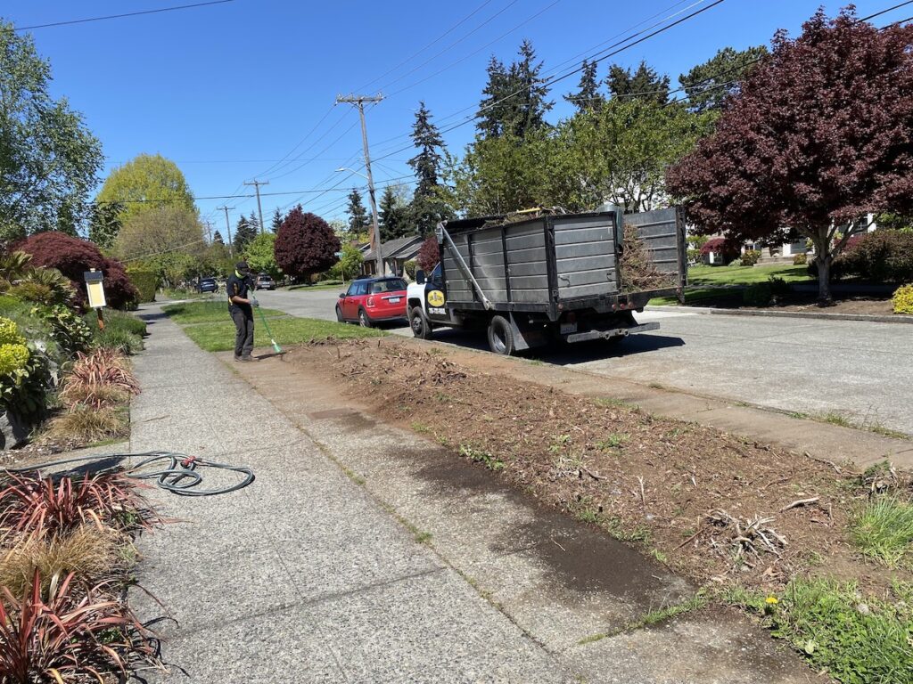 Seattle Yard Waste Removal After Cleanup
