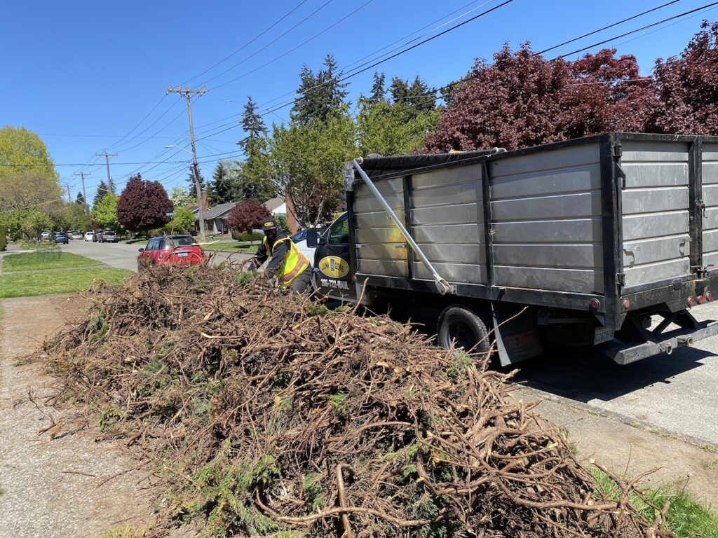 Seattle Yard Waste Removal Photo