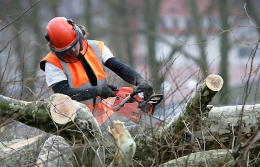 Yard waste disposal services seattle