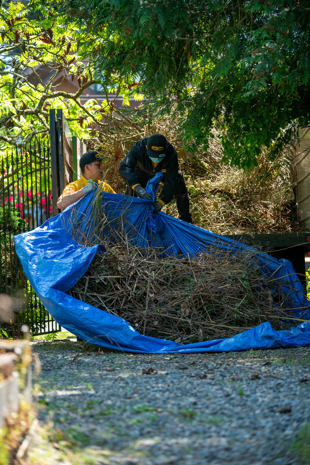 How to Dispose of Tree Branches