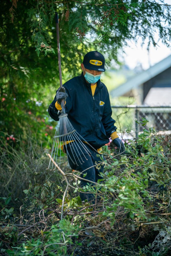 yard waste removal