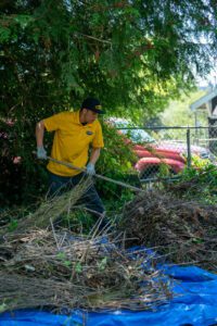 Yard Waste Removal in Seattle