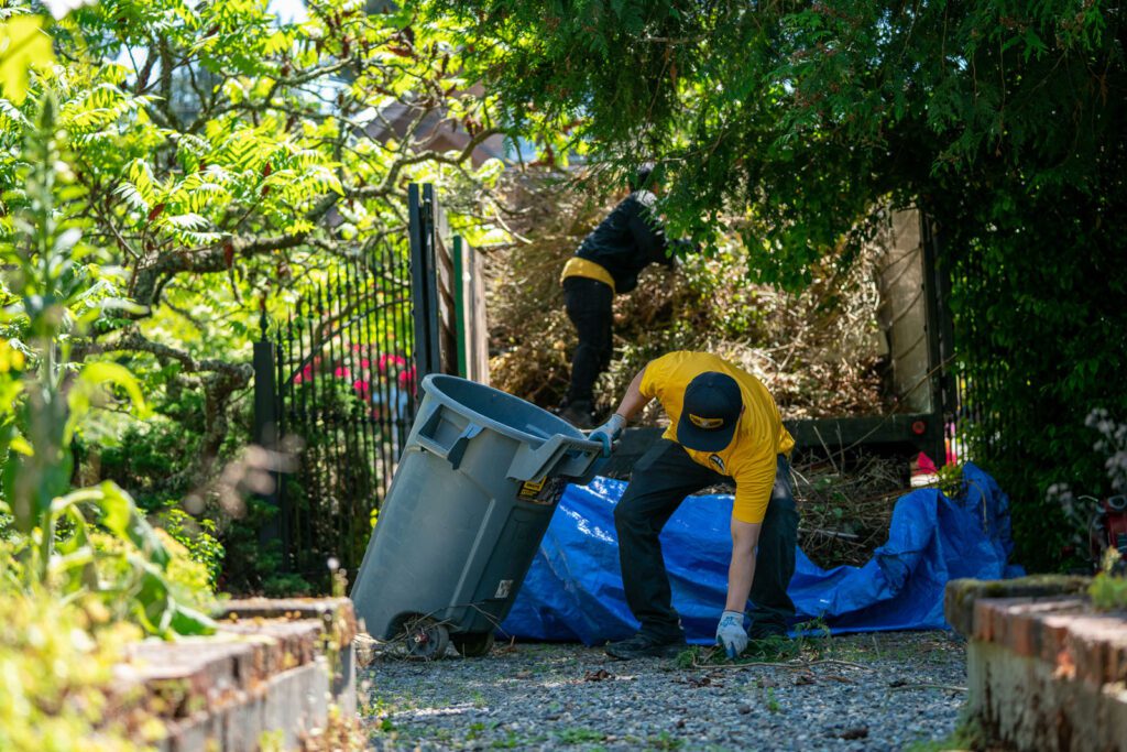 Tree branches disposal 