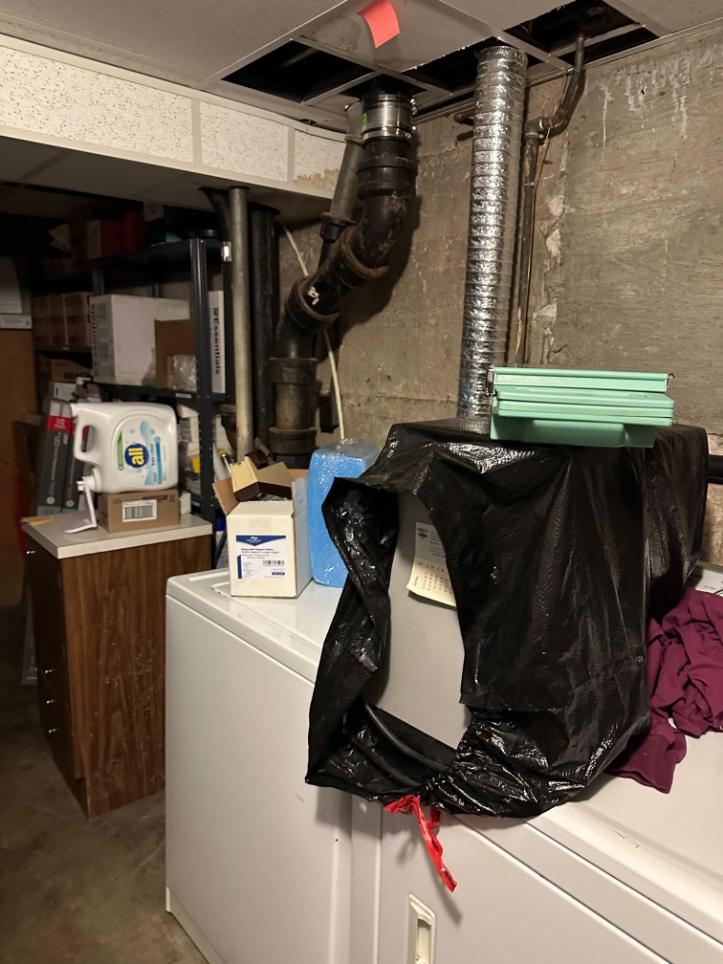 cost of basement cleanout