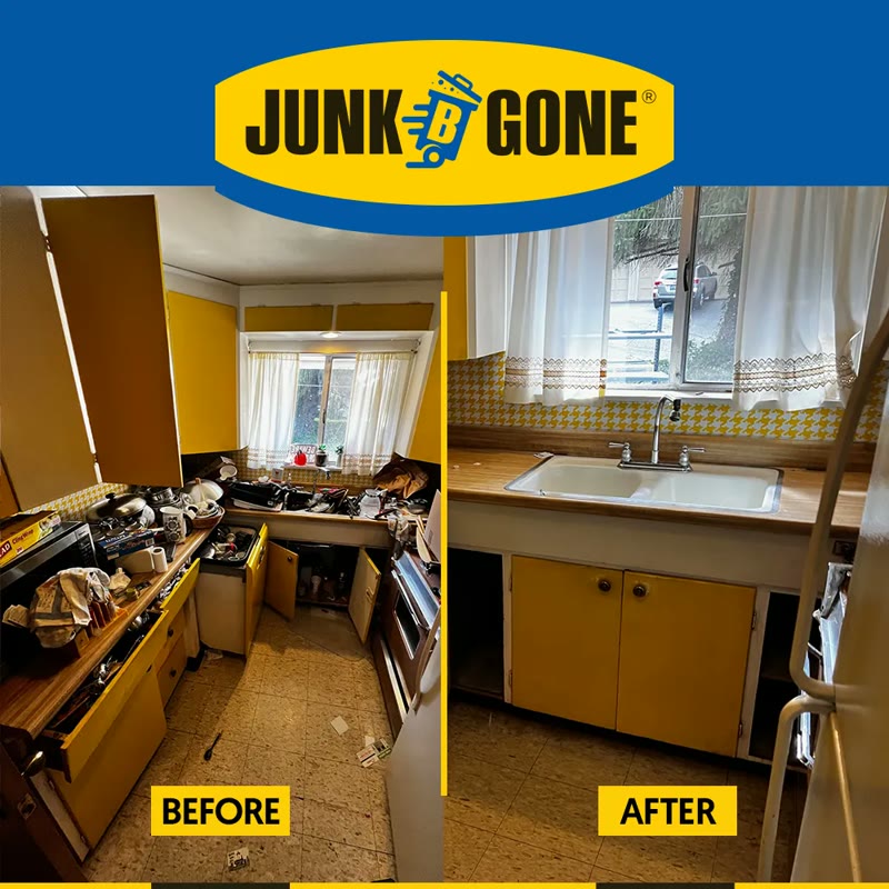 Kitchen Cleanout — Dishes, Appliances & Clutter