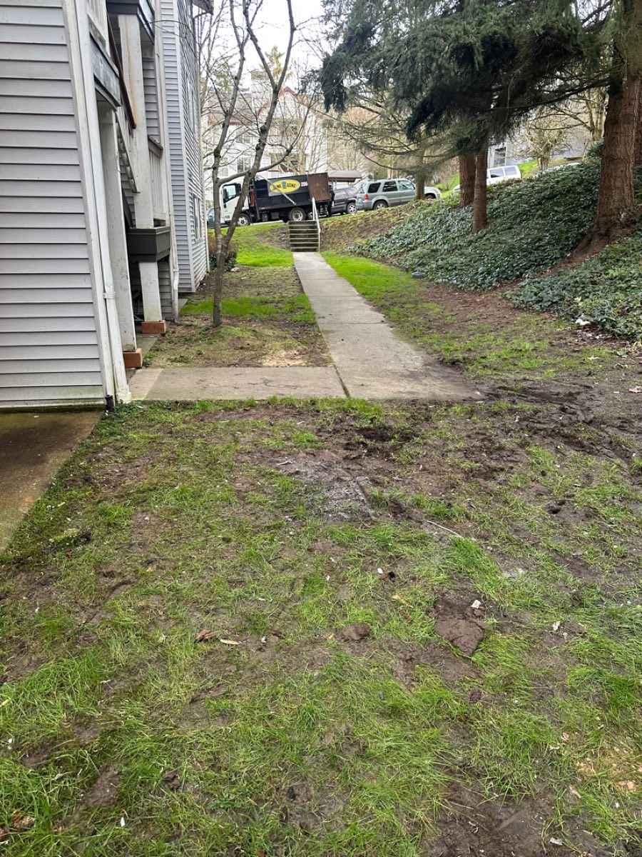 Cleared grounds outside building